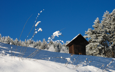 冬季景观与雪水獭果，班斯卡，斯蒂夫尼卡