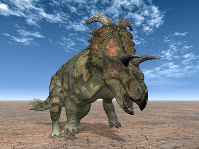 Albertaceratops