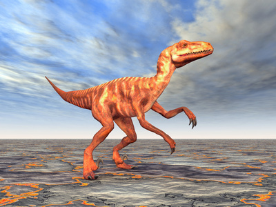 迅猛龙dakotaraptor 是一个食肉驰龙科食肉恐龙, 住在南达科他州, 北