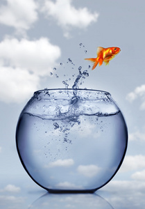 金鱼跳出水面照片