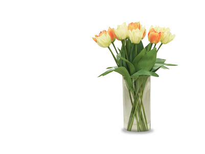 五彩郁金香在花瓶, 在白色背景隔绝