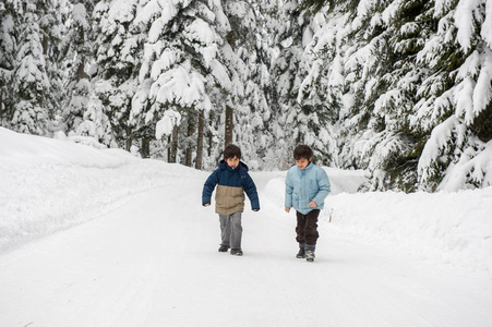 男孩走在白雪皑皑的乡间森林之路