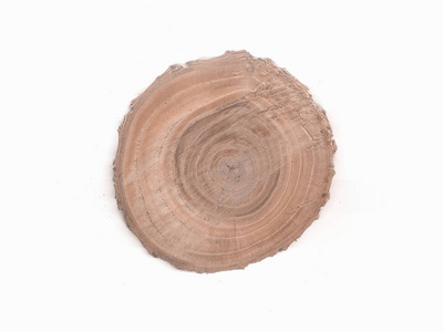 树的结构切割, 木树桩。以年轮为木质的圆砍倒树