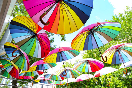 五颜六色的雨伞挂在公园