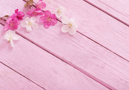 木制背景下的粉红色春天花