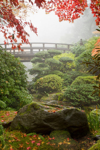 日本花园的岩石和桥梁