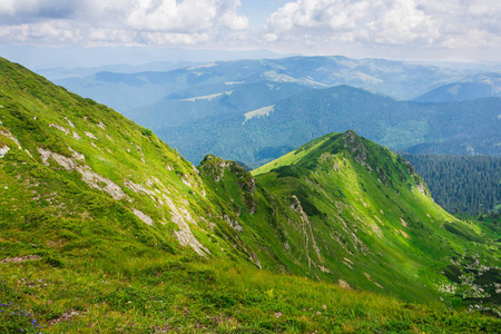绿色的乌克兰喀尔巴阡山脉
