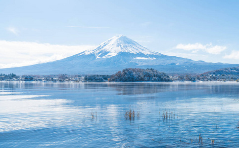 在河口湖山富士 San