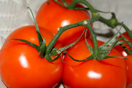 新鲜红熟的西红柿图片-新鲜红熟的西红柿素材-新鲜红熟的西红柿插画