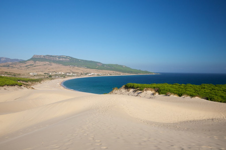博洛尼亚海滩沙丘