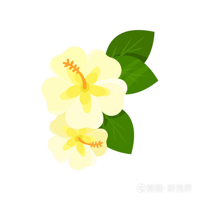 鸡蛋花卡通矢量插画