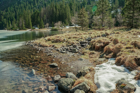 岩石海岸的看法与石头反对水和树在背景, Morskie 开元, 海眼睛, Tatra 国家公园, 波兰