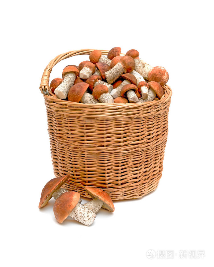 一篮子野生蘑菇