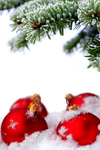 圣诞常绿云杉树和红玻璃球
