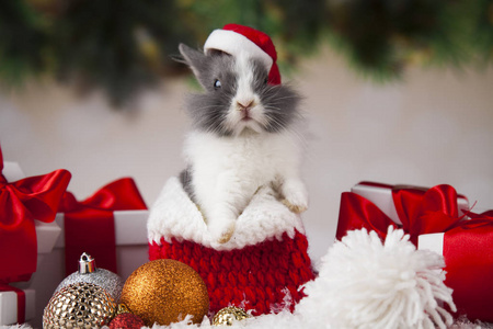 圣诞小兔子在圣诞节背景