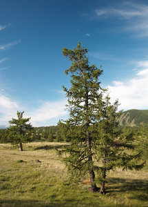 西塞南山