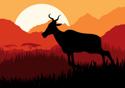 野生非洲山区景观伊柳斯动画奔跑的羚羊