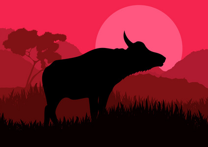野生水牛动画景观插图