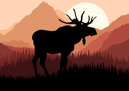 野生自然景观插图动画驼鹿