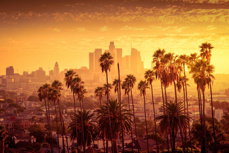 美丽的日落的洛杉矶市中心的天际线和棕榈树的应用前景