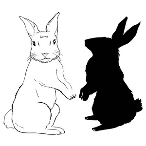 兔剪影矢量插图