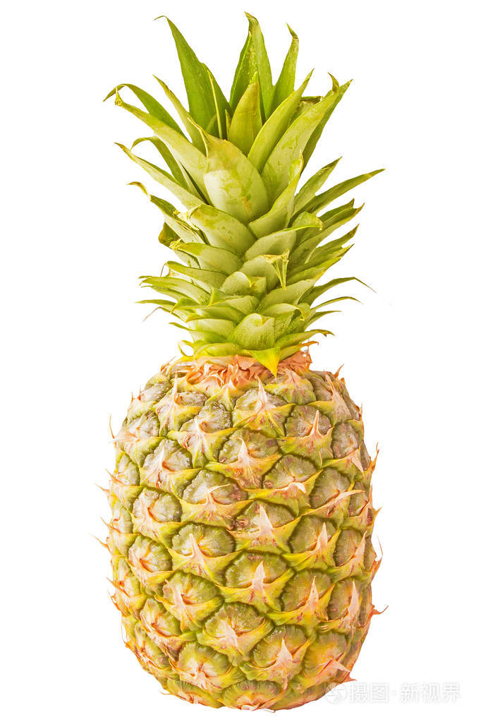 在白色孤立的单个菠萝