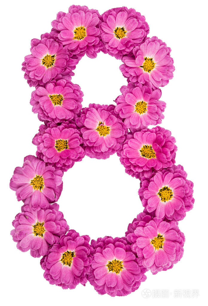 阿拉伯数字8 八 从菊花的花 孤立照片 正版商用图片03bsh0 摄图新视界
