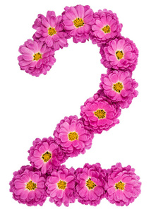 阿拉伯数字 2, 二, 从菊花的花, 孤立 o照片