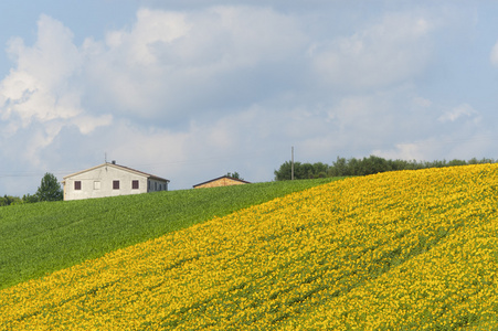 夏季农场的意大利景观