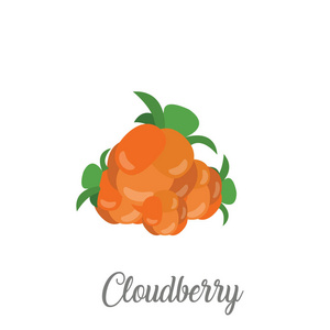 Cloudberries 与叶子在白色