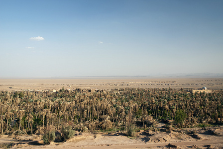 garmeh 在伊朗沙漠中的绿洲景观