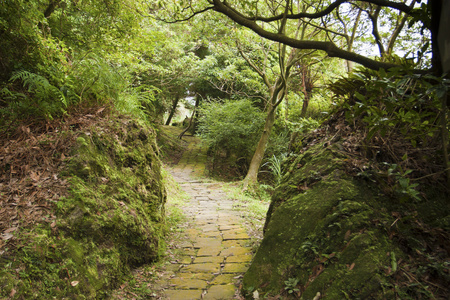 森林步道