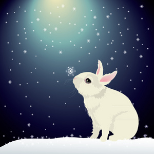 雪兔子图片