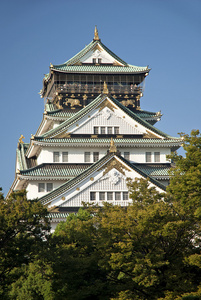 在日本大阪城堡图片