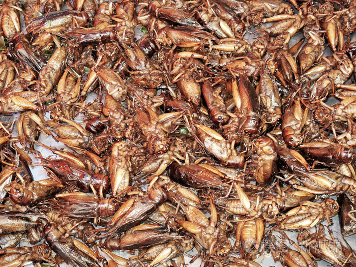 泰国食品市场上的油炸蟋蟀