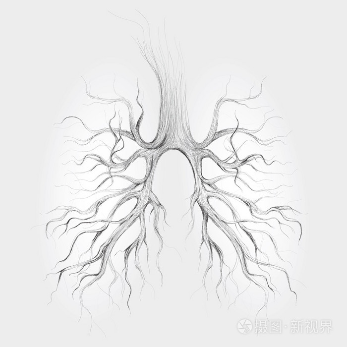 肺像树