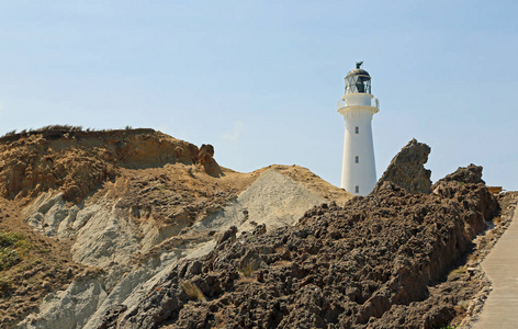 悬崖上的灯塔Castlepoint, 新西兰