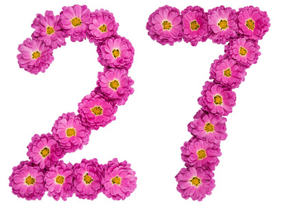 大年二十七阿拉伯数字 27, 二十七, 菊花花照片