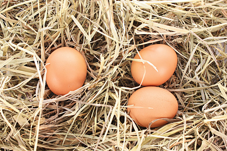 三个鸡蛋上白色隔离与燕窝图片