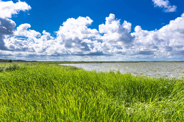 春湖碧天绿田全景美景