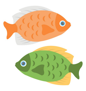 一个可爱的橙色黄色中型鱼通常保存在水族馆小池塘 金鱼相似素材图片 摄图新视界