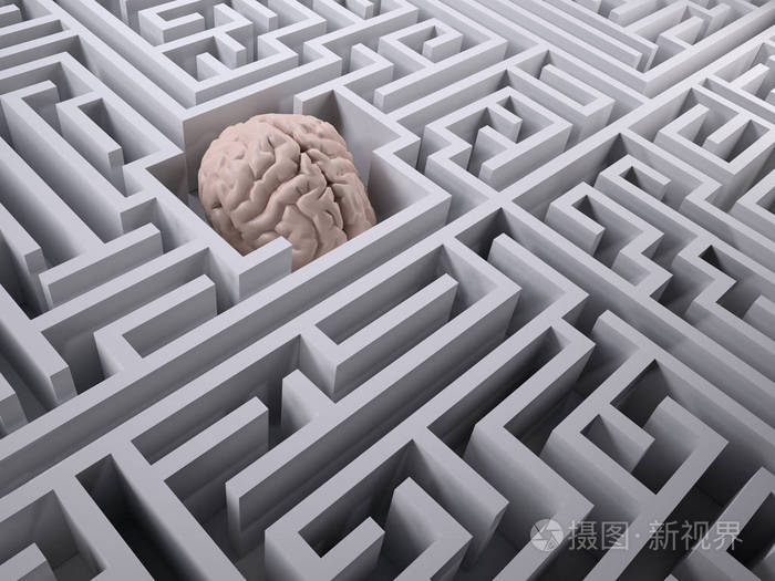 迷宫迷宫中的人脑