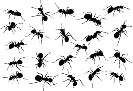 22 个蚂蚁剪影