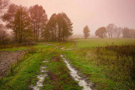 田野里的土路。乡村的晨雾