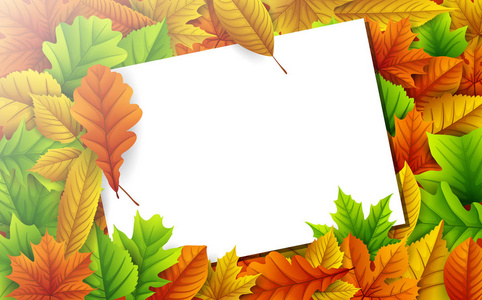 五颜六色的秋天叶子用空白的纸卡片