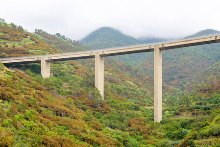 高铁路在山图片