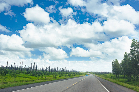 公路穿越森林和多云的丘陵背景