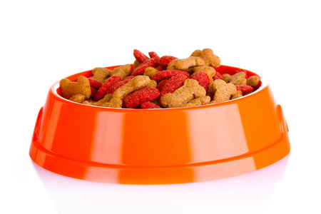 碗里的狗食美丽的孟加拉猫吃顿饭像猫在白色背景上