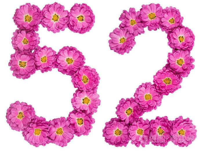阿拉伯数字 52, 五十二, 菊花花, iso