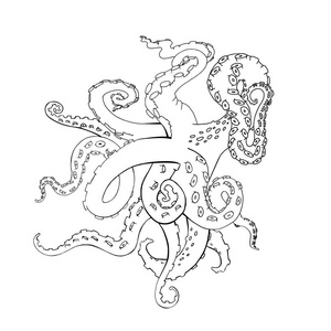 矢量素描卡通章鱼的触手照片